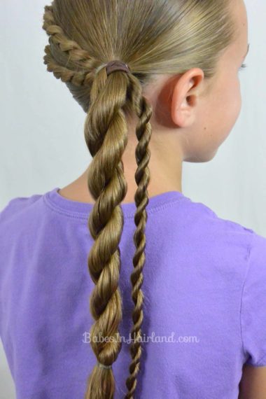 Rope Braids and Twisted Ponytail from BabesInHairland.com