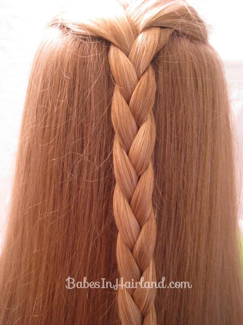 Easy Triple Braided Hairstyle - Babes In Hairland