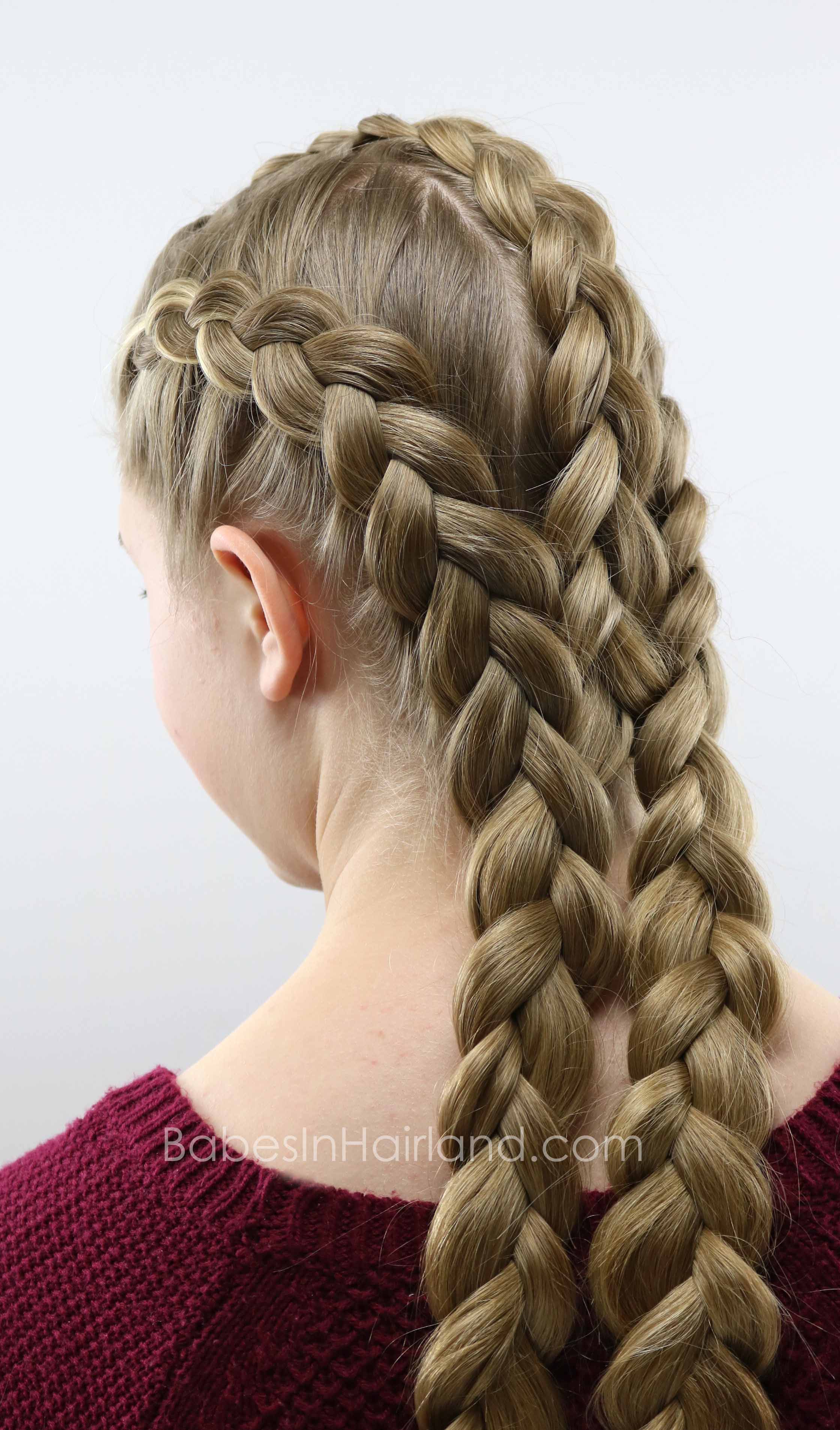 Inverted Braid Hairstyles Inverted Braid Hairstyles