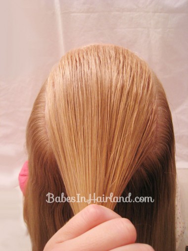 French Braid Cheat from BabesInHairland.com (3)