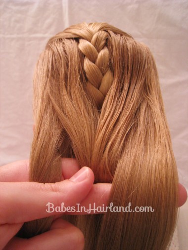 French Braid Cheat from BabesInHairland.com (7)