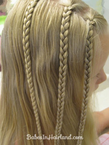 Triple Braided Pocahontas Braids (4)