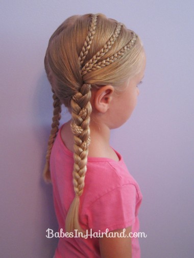 Triple Braided Pocahontas Braids (5)