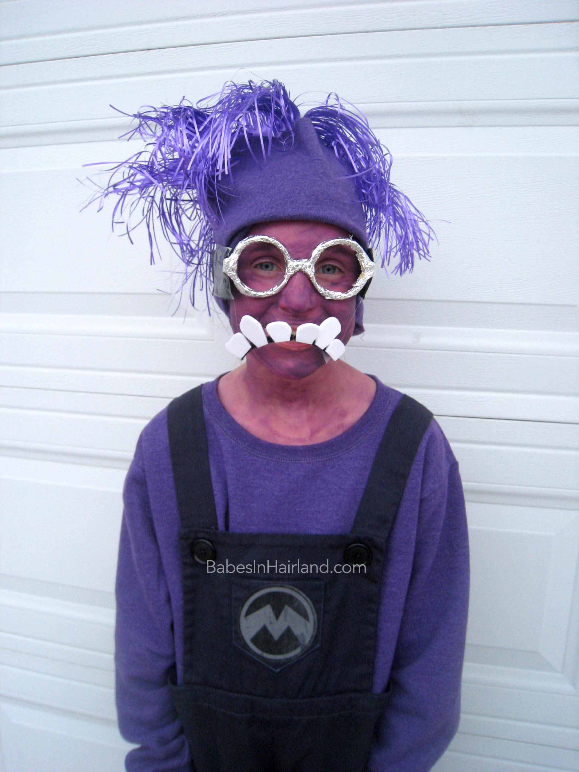 Purple Minion Costumes S In Hairland