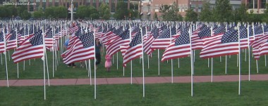 Healing Field - In Memory of 9/11 (2)