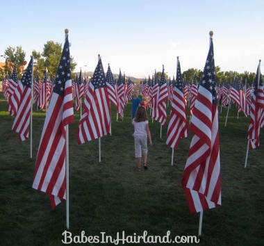 Healing Field - In Memory of 9/11 (3)