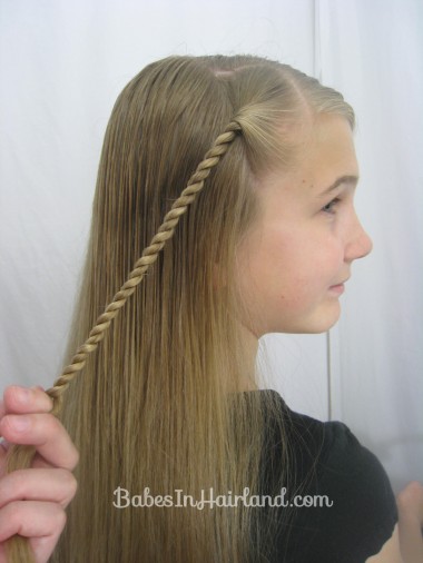 Rope Braid Hairstyle from BabesInHairland.com