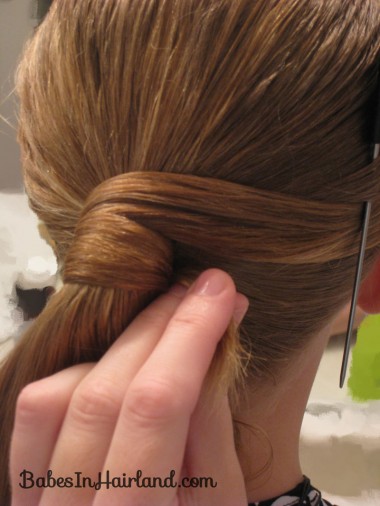 Fancy Wrapped Ponytail (10)