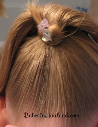 Fancy Wrapped Ponytail (11)