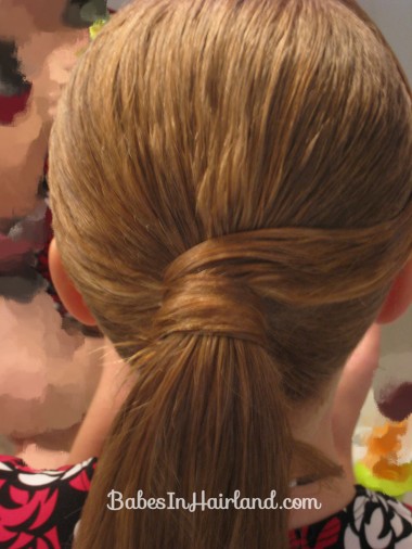 Fancy Wrapped Ponytail (12)