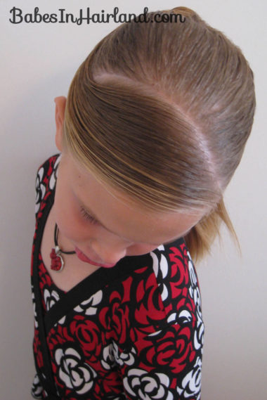 Fancy Wrapped Ponytail (14)
