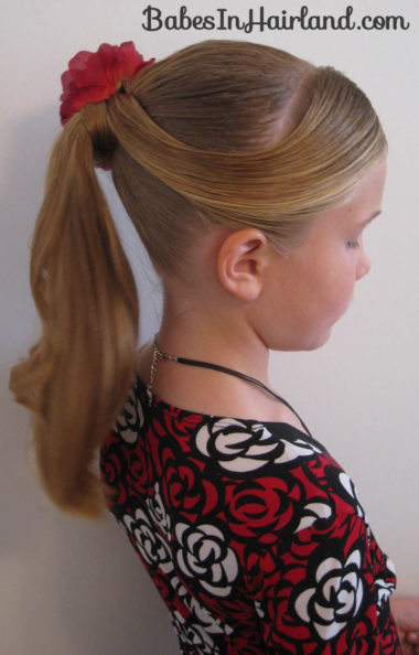 Fancy Wrapped Ponytail (1)
