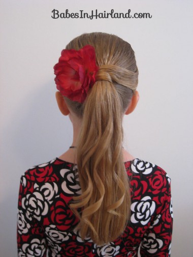 Fancy Wrapped Ponytail (16)