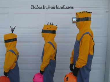 Dispicable Me -Minion Halloween Costumes (6)