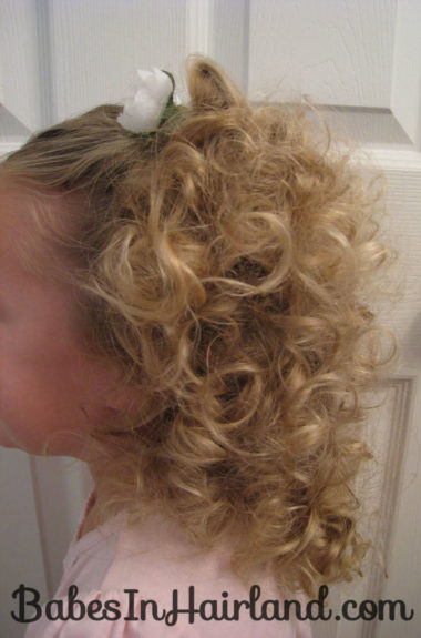 Curl Pictures (1)