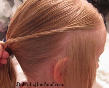 Criss Cross Twists into a Bun (3)