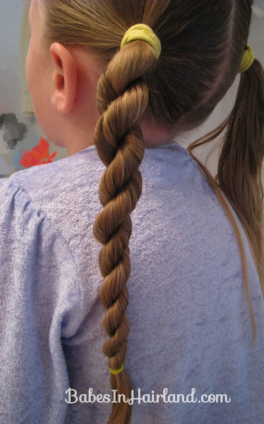 Criss Cross Ponies & Rope Braids (12)