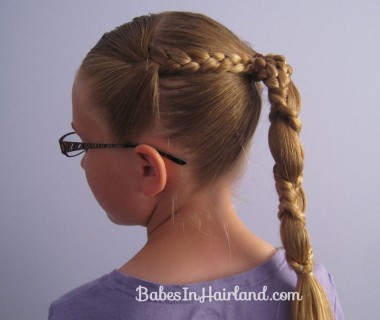 Braid Wrapped Ponytail (1)