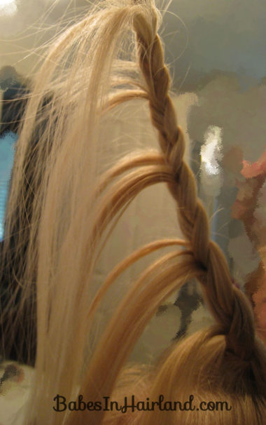 Cascade/Feathered Braid Hairstyle (3)