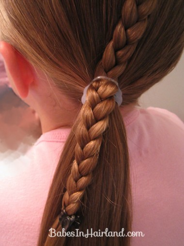 Ponytails and a Braid (7)