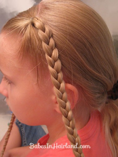 Ponytails and Braids Hairstyle (2)