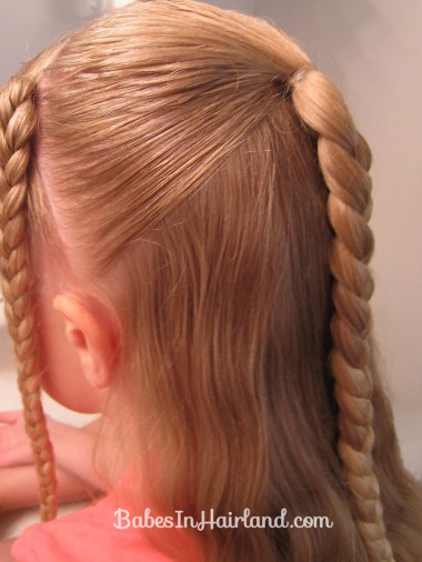Ponytails and Braids Hairstyle (3)