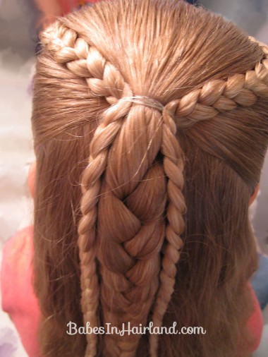 Ponytails and Braids Hairstyle (4)