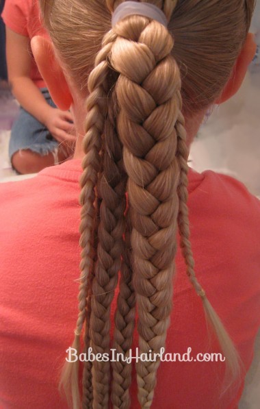 Ponytails and Braids Hairstyle (7)
