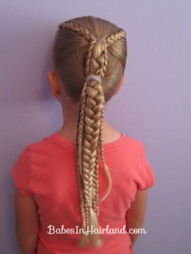 Ponytails and Braids Hairstyle (13)