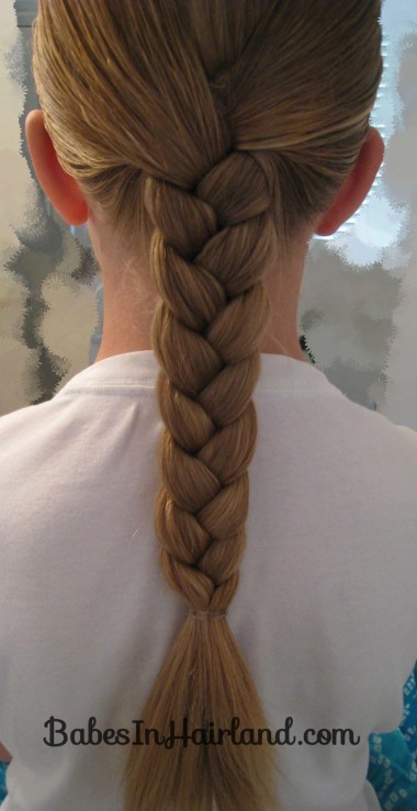 Rolled Up Braid (2)
