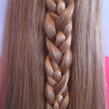 Braided Braid (10) Braided Braid (10)