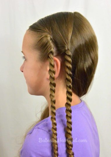 Rope Braids and Twisted Ponytail from BabesInHairland.com