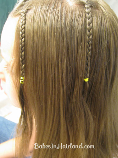 Bohemian/Hippie Braids (6)