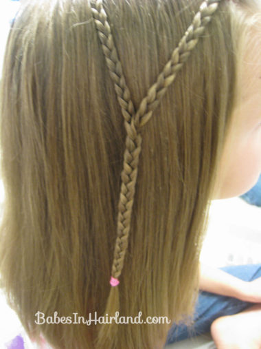 Bohemian/Hippie Braids (8)