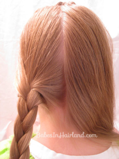 Triple Braided Updo from BabesInHairland.com (3)