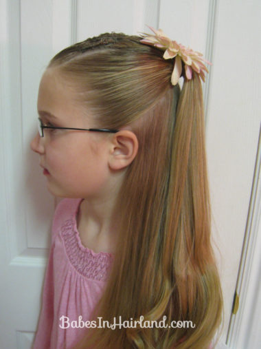 Cornrows and Half Ponytail (2)