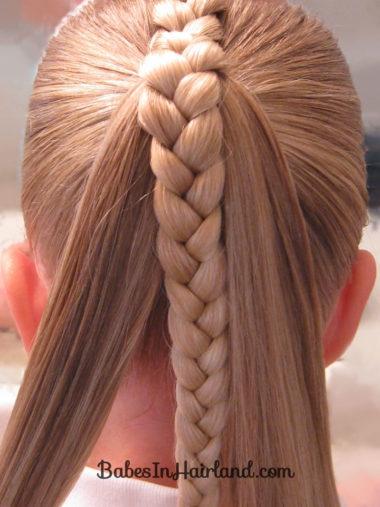 French Braid - Braided Ponytail (6)