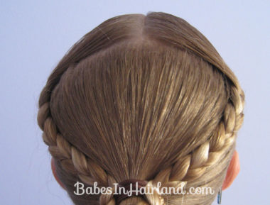 Braid Wrapped Ponytail (2)