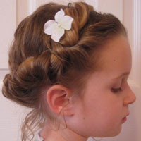Alice in Wonderland Hairstyle #1(a)